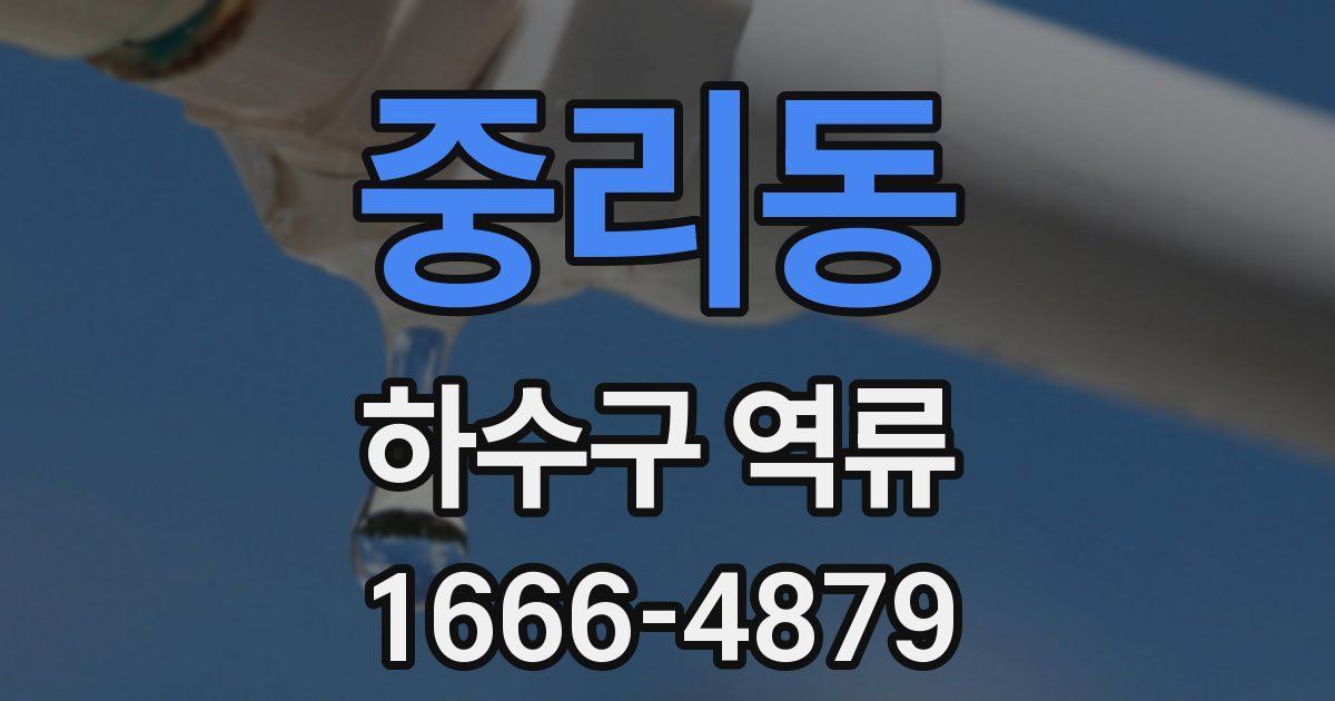 중리동 하수구 역류
