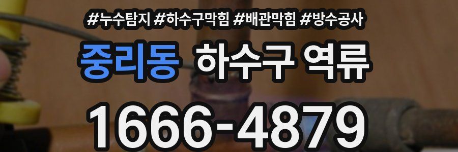 중리동 하수구 역류