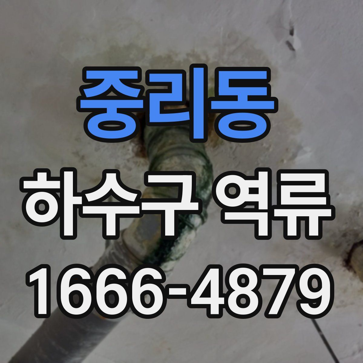 중리동 하수구 역류