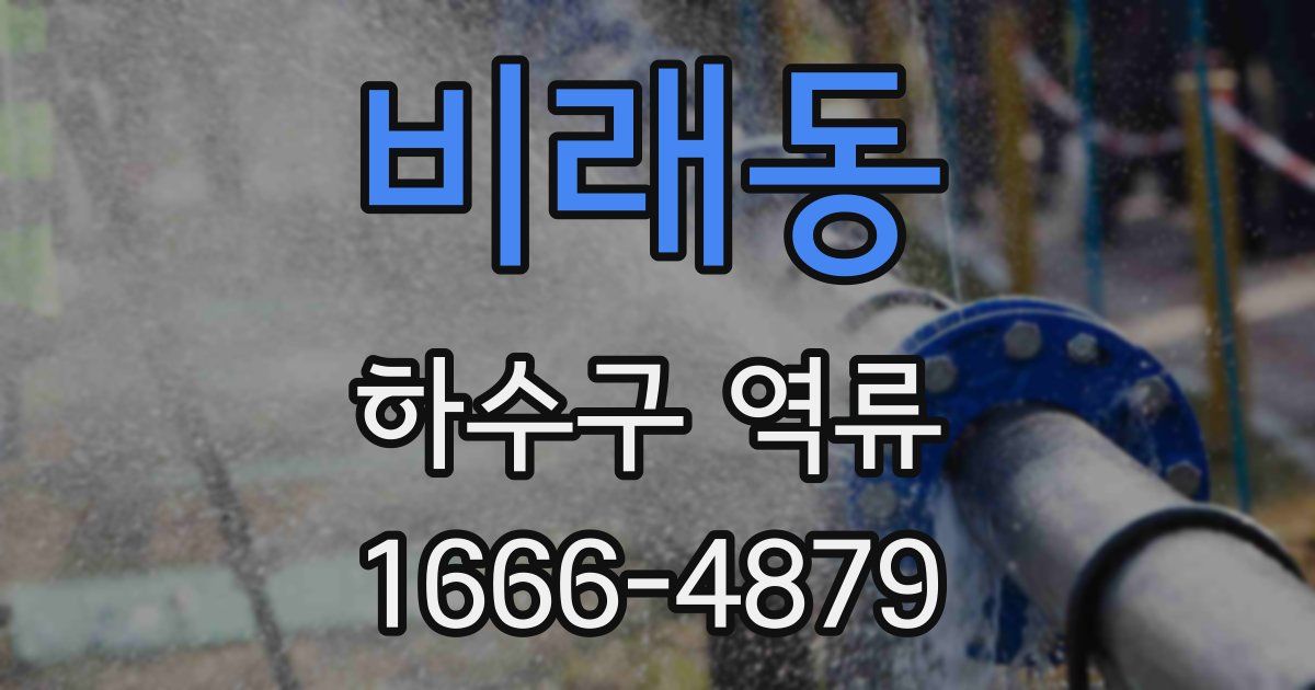 비래동 하수구 역류