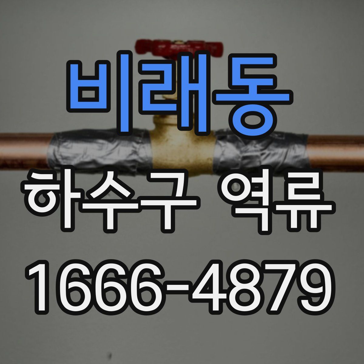 비래동 하수구 역류