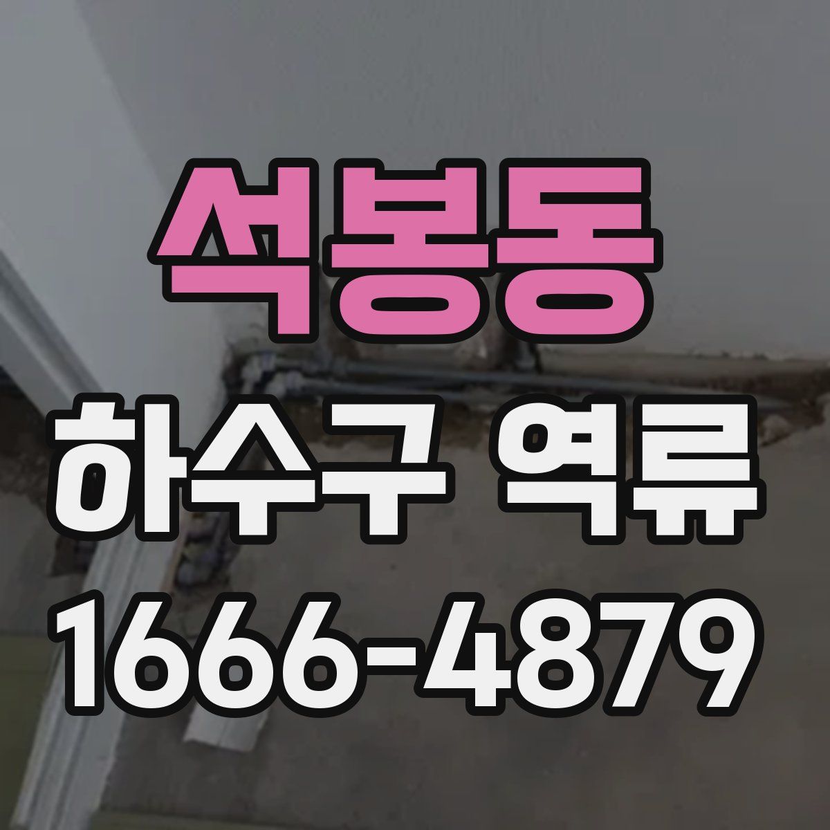 석봉동 하수구 역류