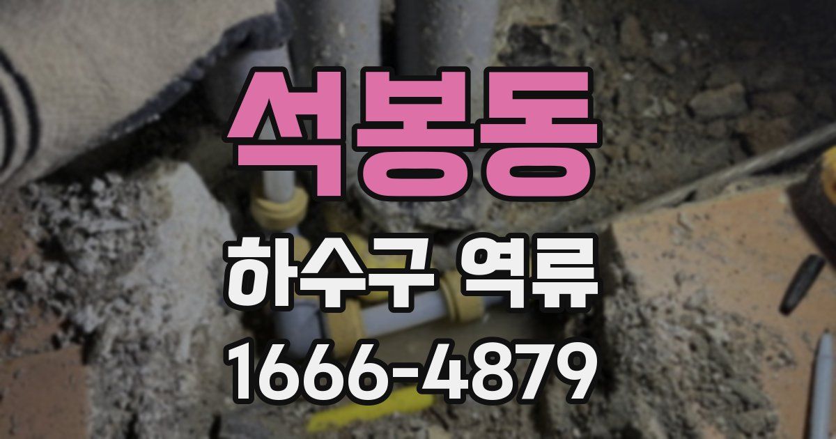 석봉동 하수구 역류
