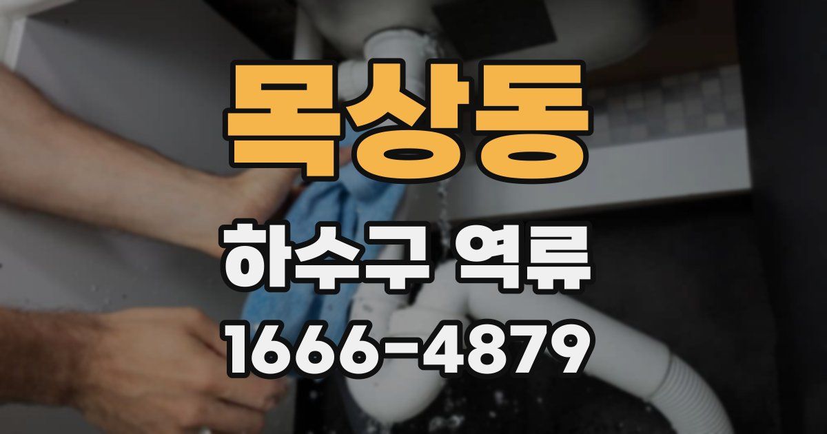 목상동 하수구 역류