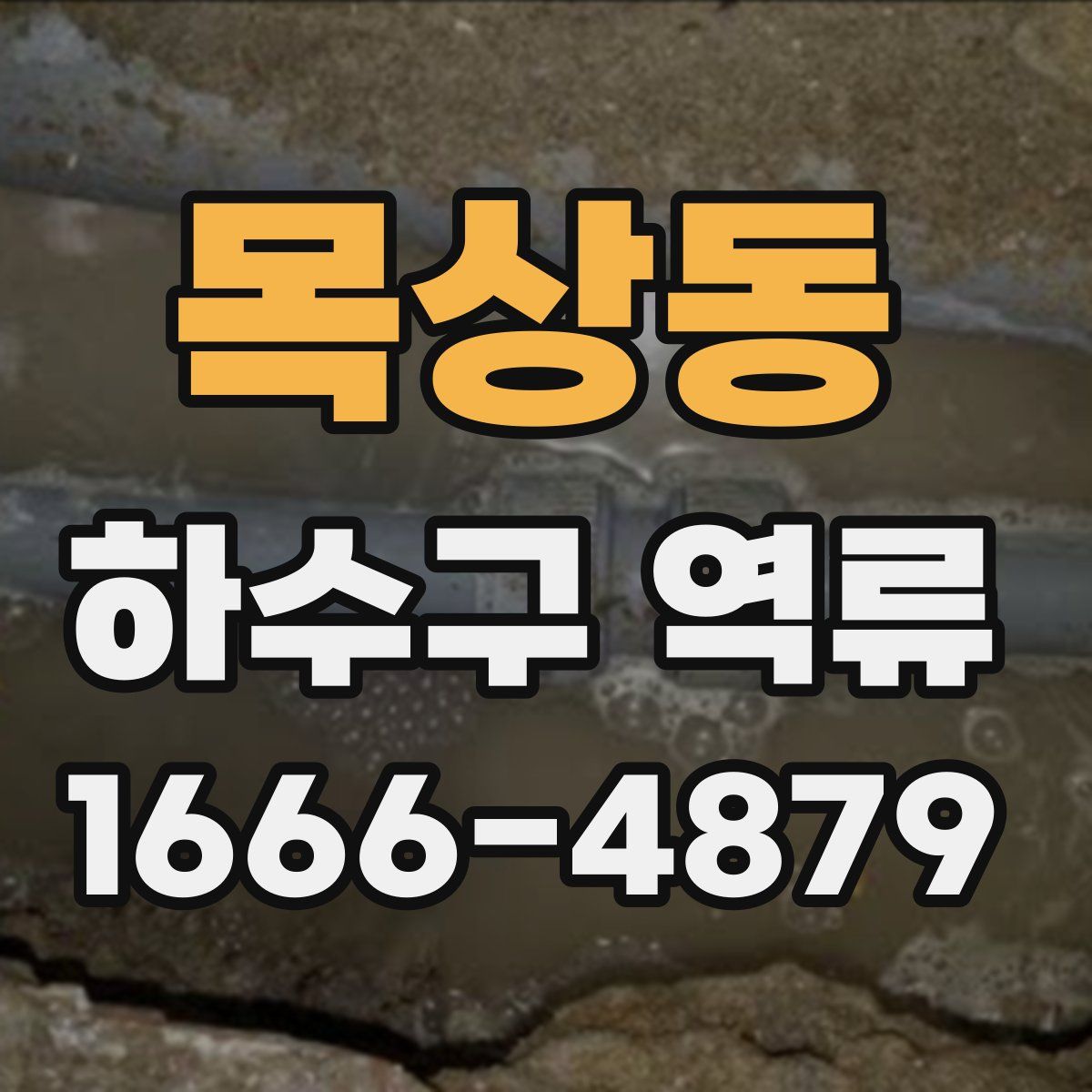 목상동 하수구 역류