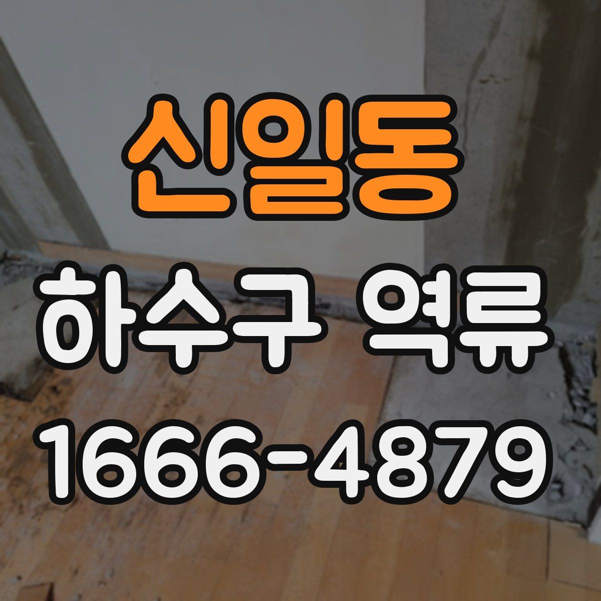 신일동 하수구 역류
