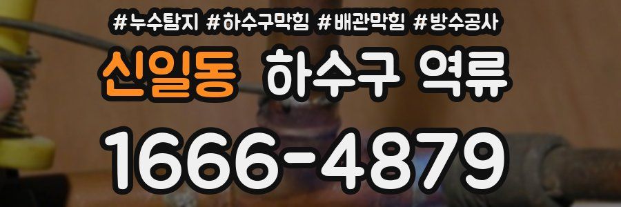 신일동 하수구 역류