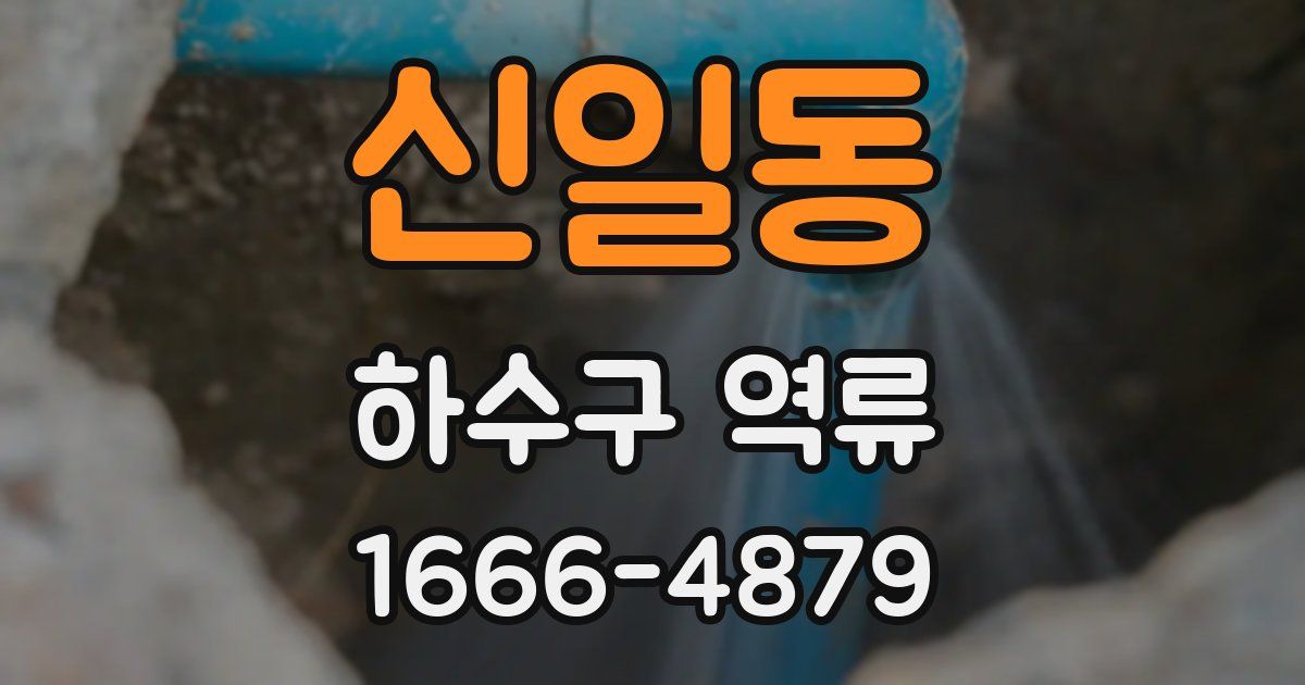 신일동 하수구 역류