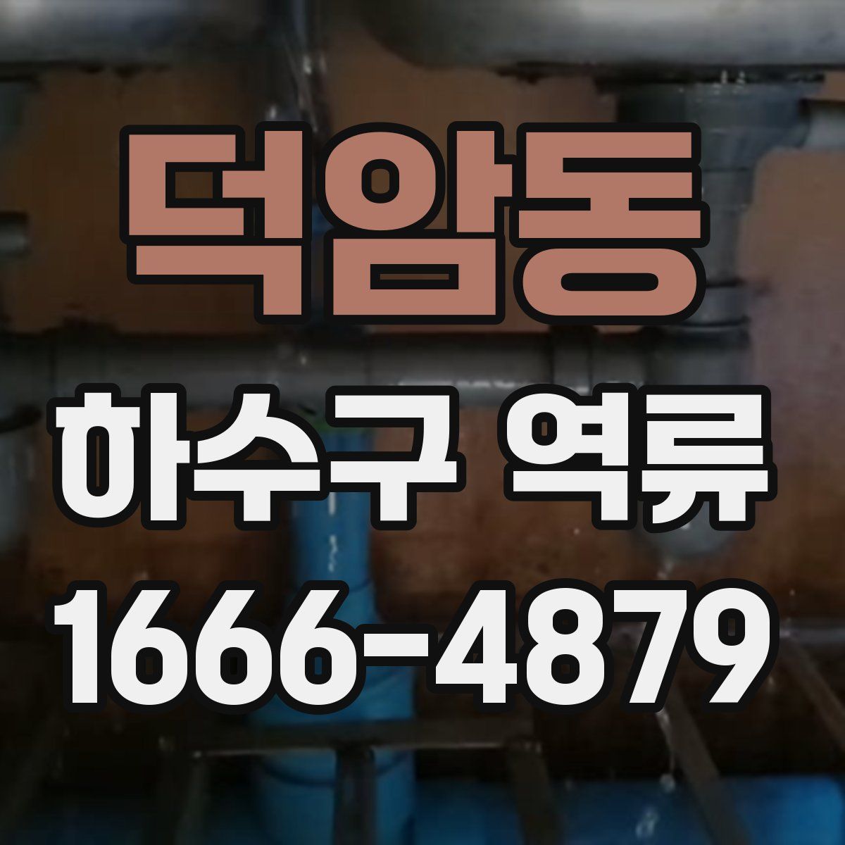 덕암동 하수구 역류
