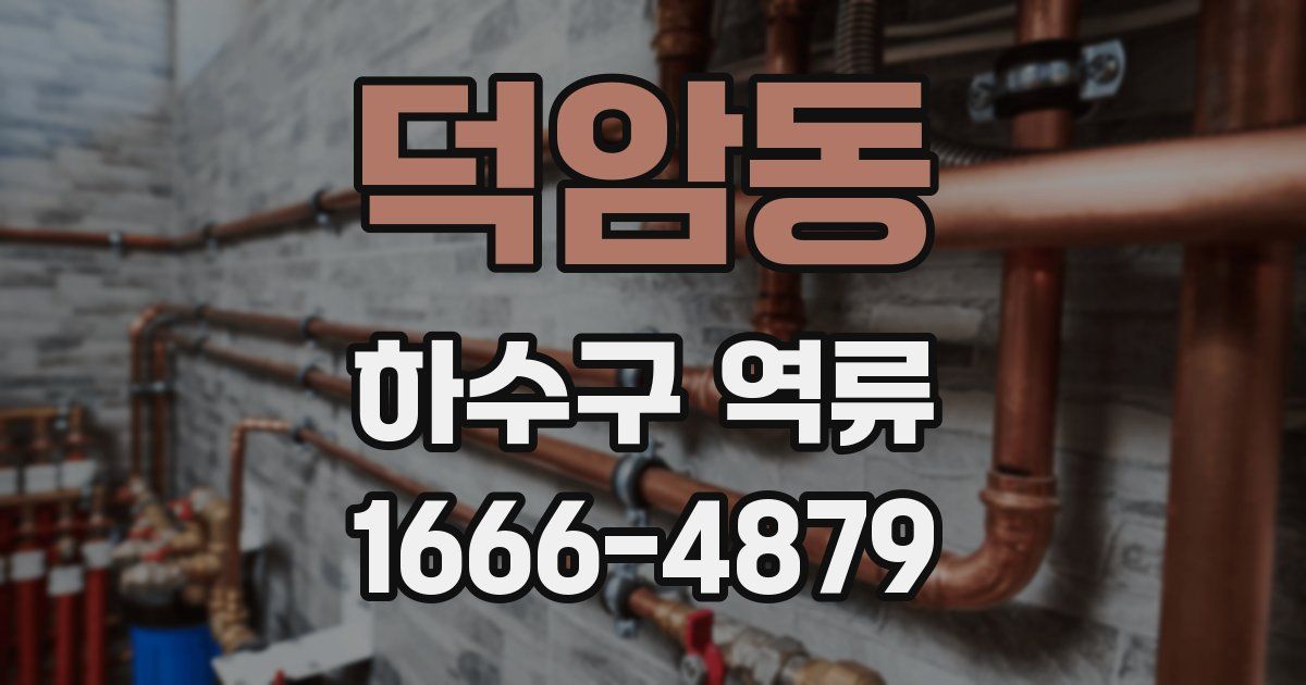 덕암동 하수구 역류