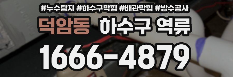 덕암동 하수구 역류