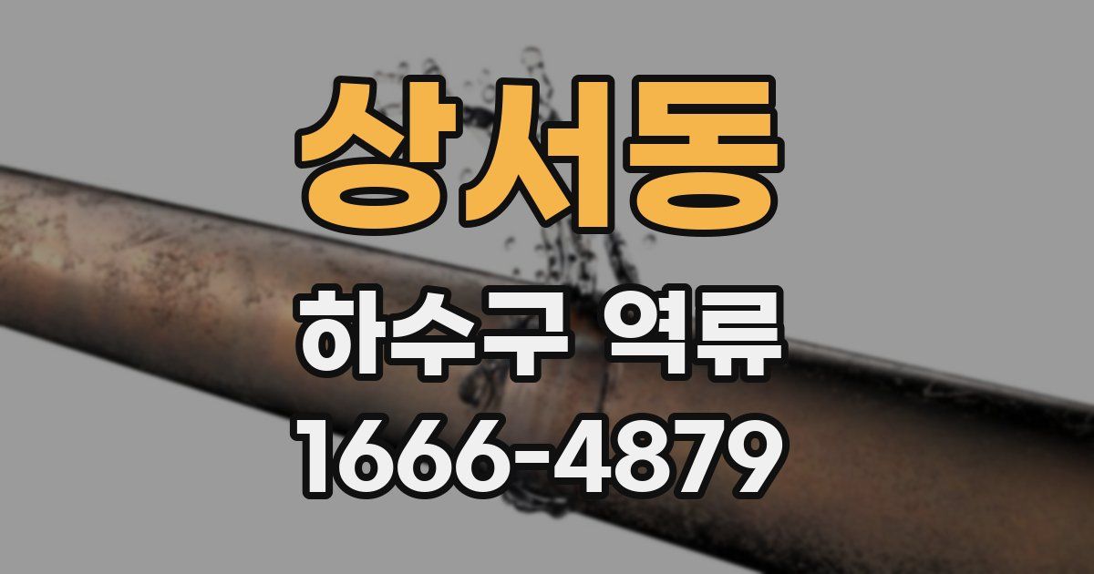 상서동 하수구 역류
