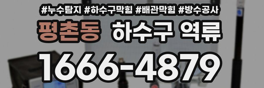 평촌동 하수구 역류