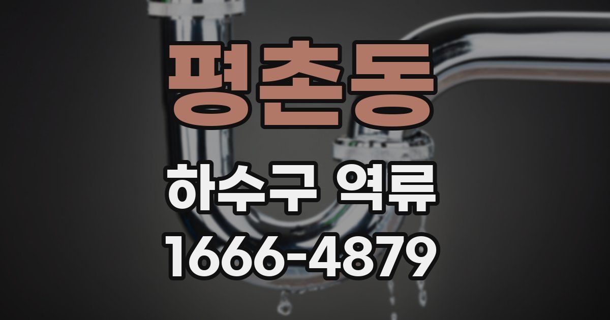 평촌동 하수구 역류