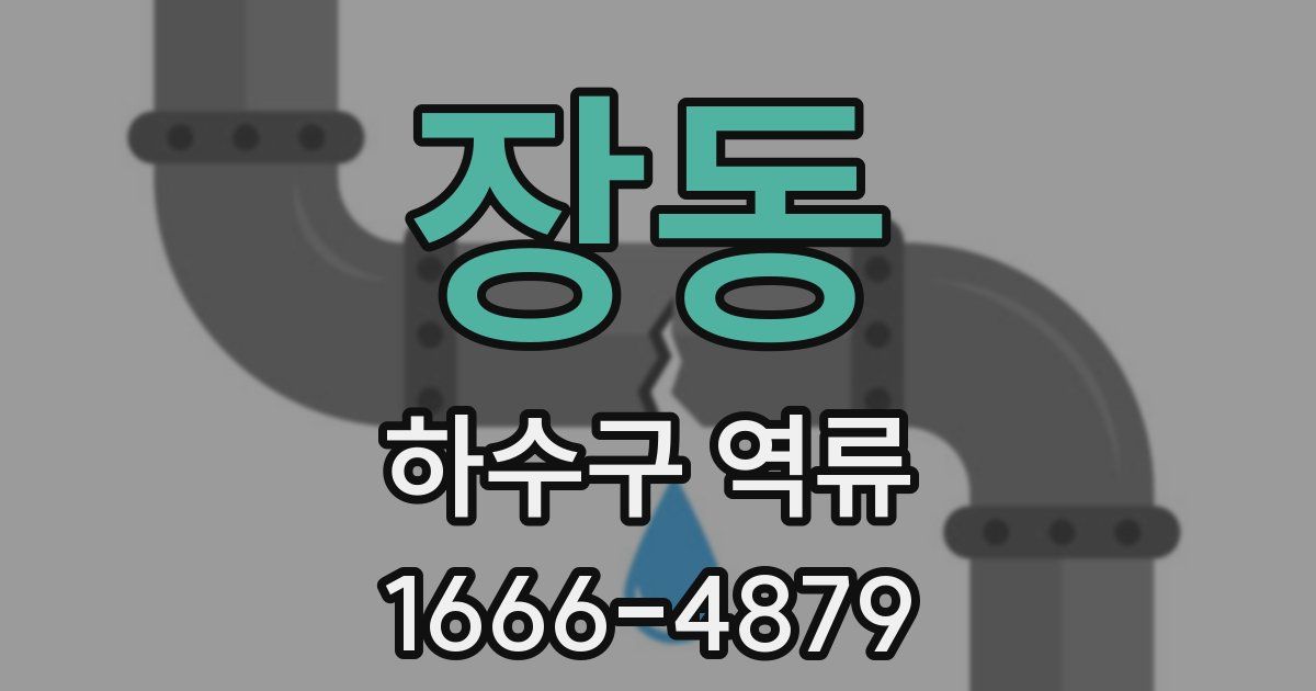 장동 하수구 역류