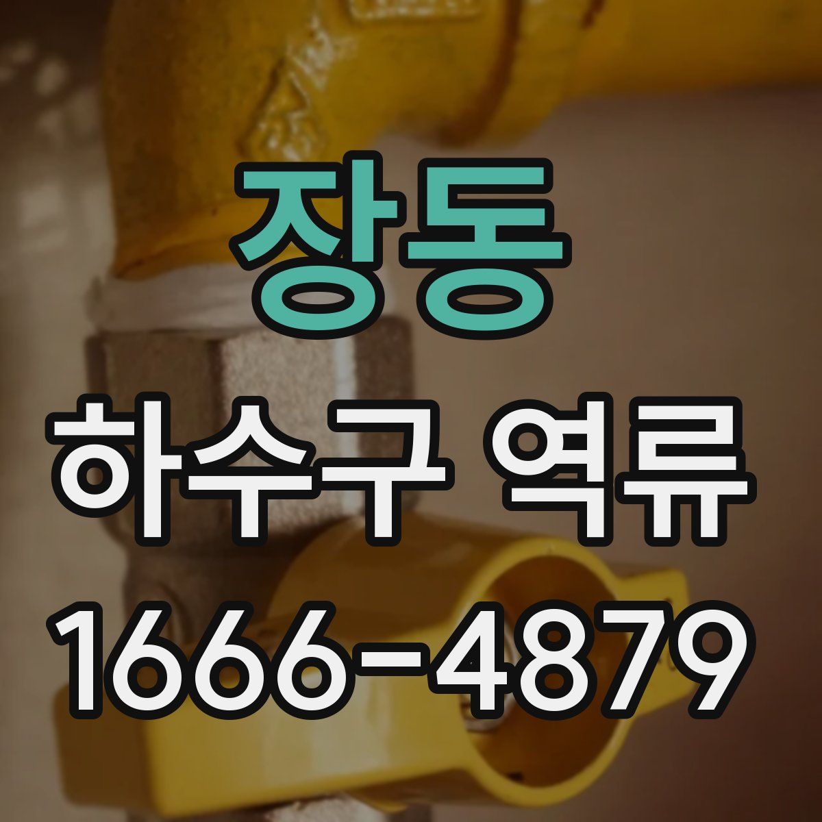 장동 하수구 역류
