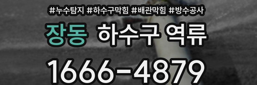 장동 하수구 역류
