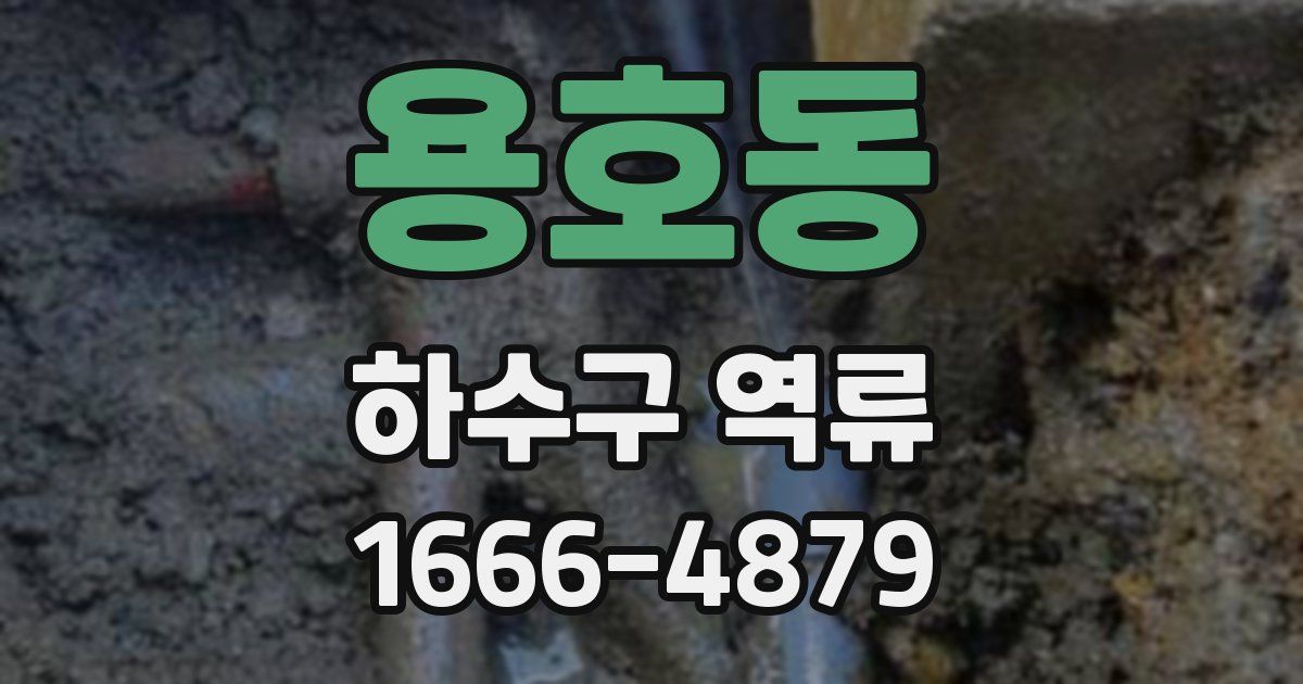 용호동 하수구 역류