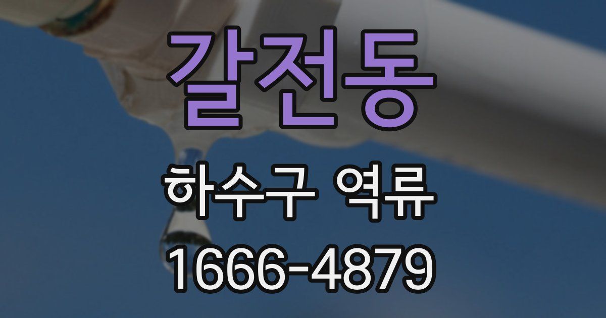 갈전동 하수구 역류
