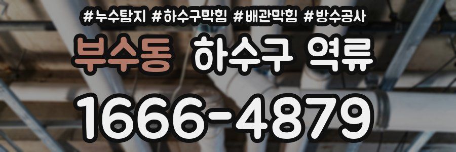 부수동 하수구 역류