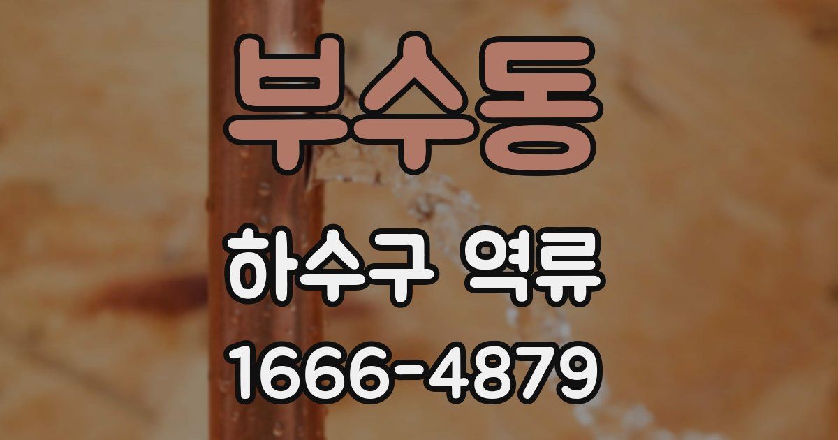 부수동 하수구 역류