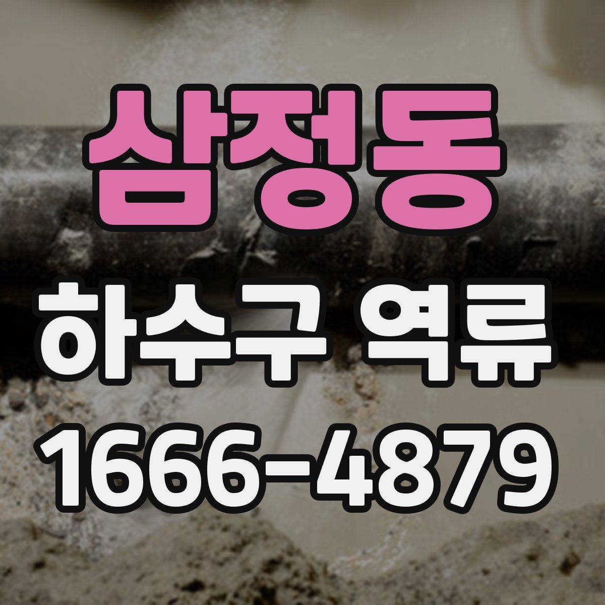 삼정동 하수구 역류