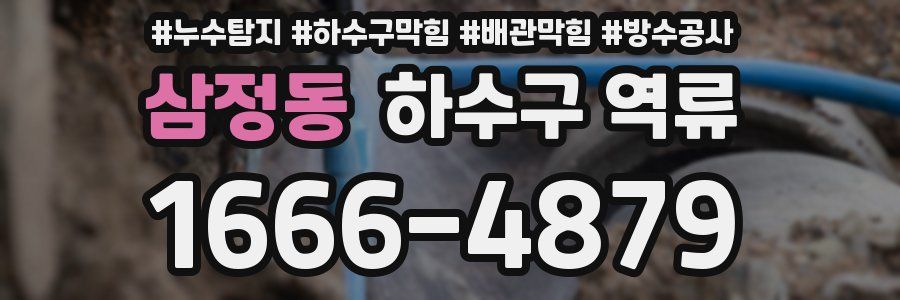 삼정동 하수구 역류