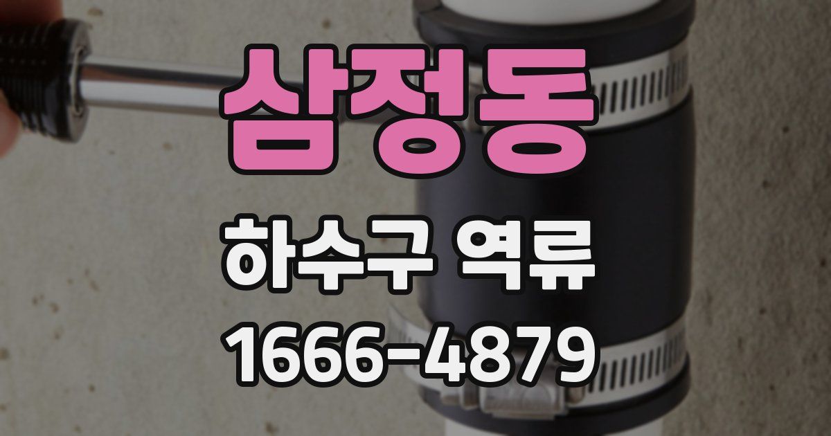 삼정동 하수구 역류