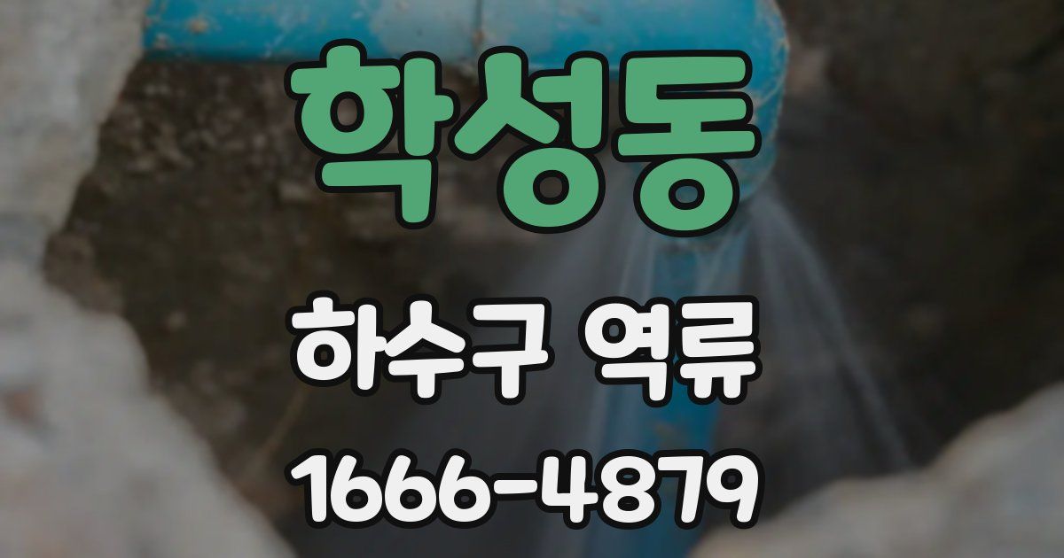 학성동 하수구 역류