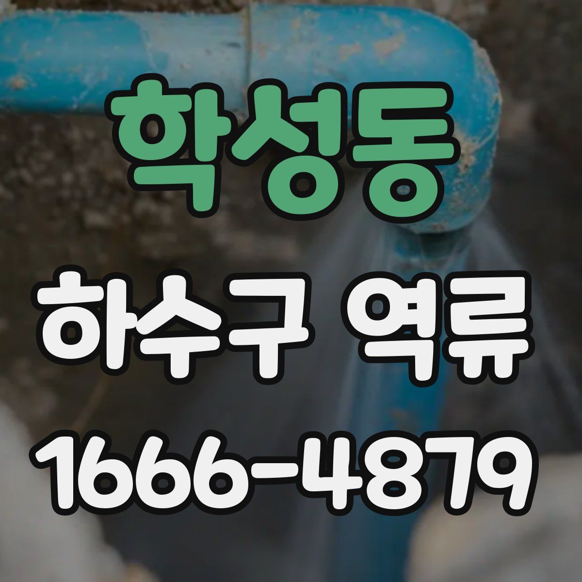 학성동 하수구 역류