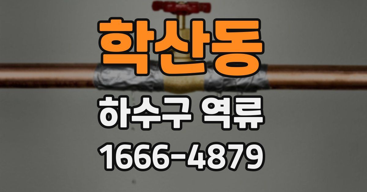 학산동 하수구 역류