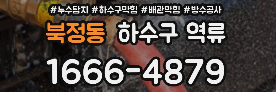 북정동 하수구 역류