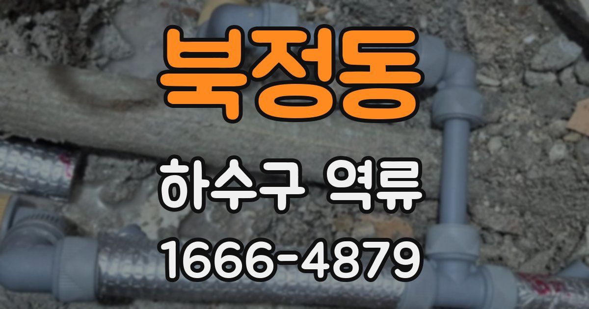 북정동 하수구 역류