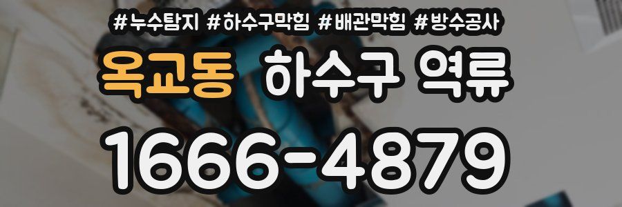 옥교동 하수구 역류