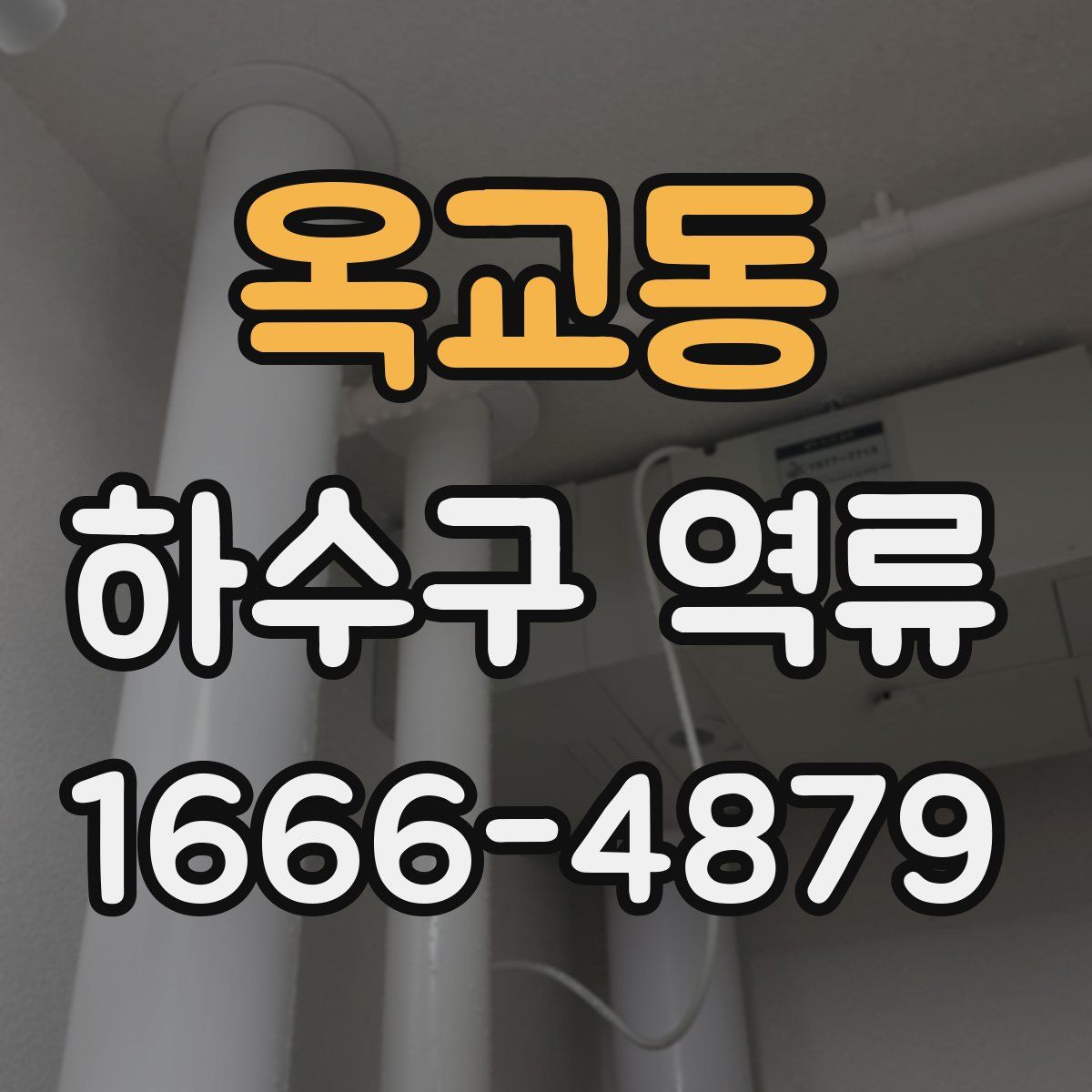 옥교동 하수구 역류