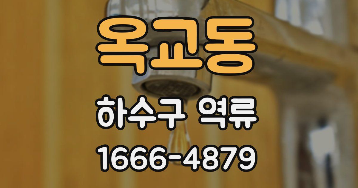옥교동 하수구 역류