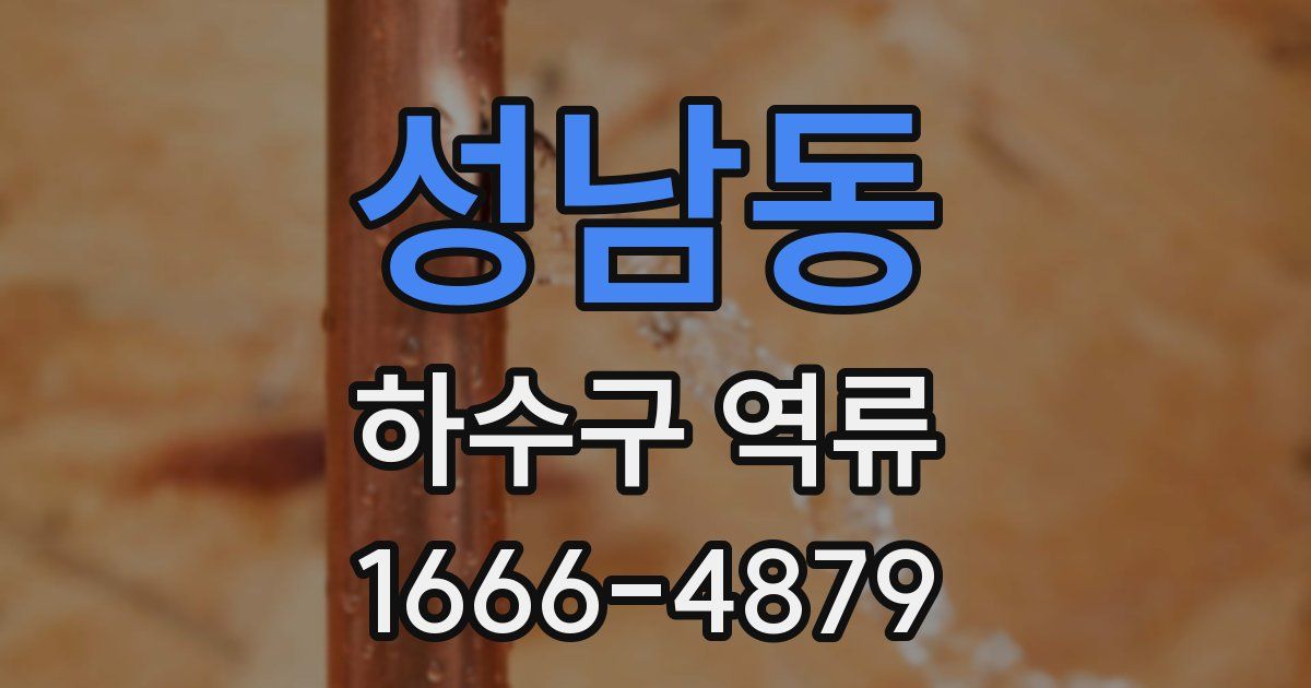 성남동 하수구 역류