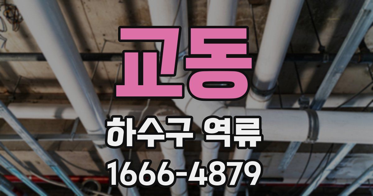 교동 하수구 역류