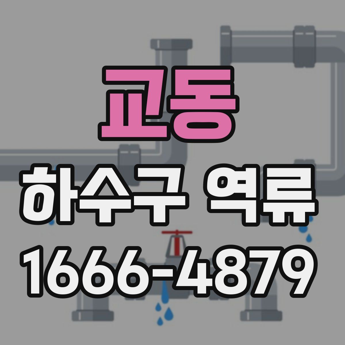 교동 하수구 역류