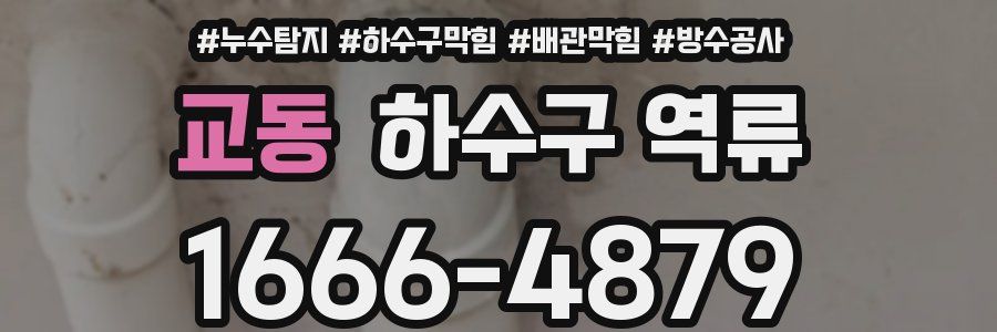 교동 하수구 역류