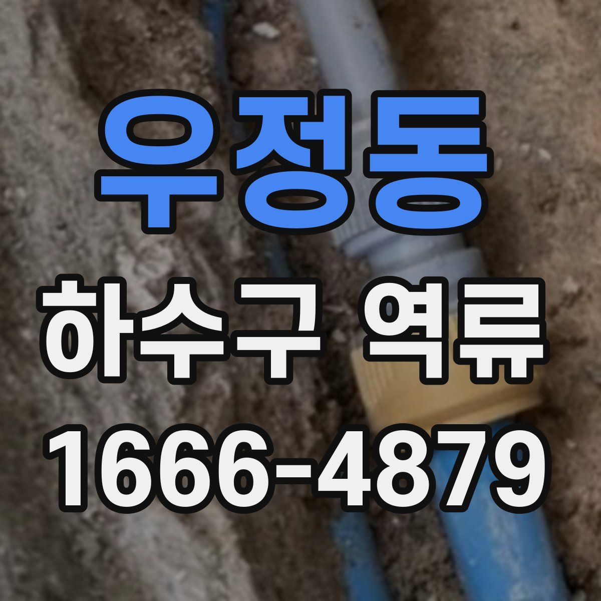 우정동 하수구 역류