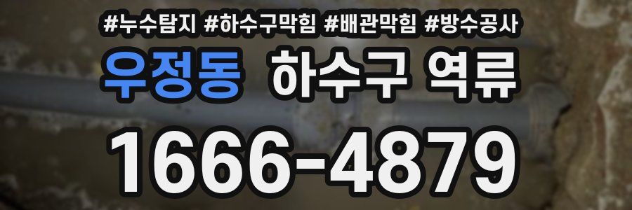 우정동 하수구 역류