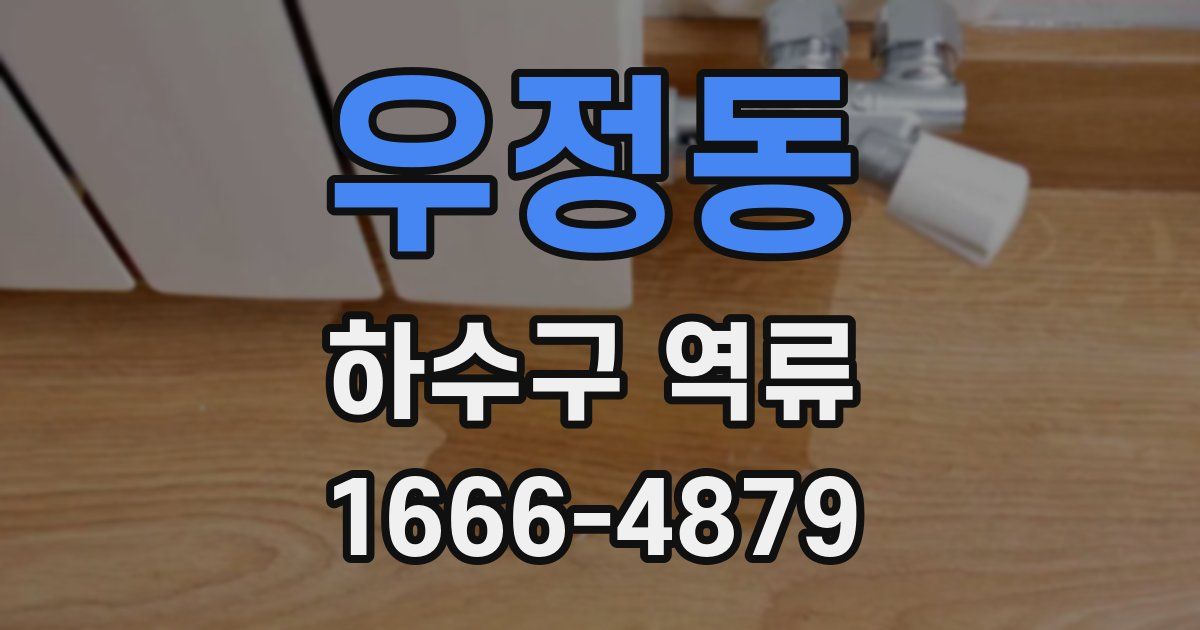 우정동 하수구 역류