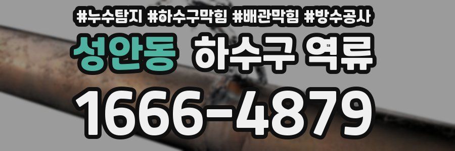 성안동 하수구 역류