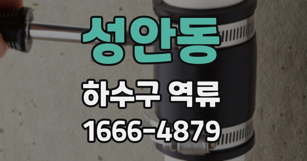 성안동 하수구 역류