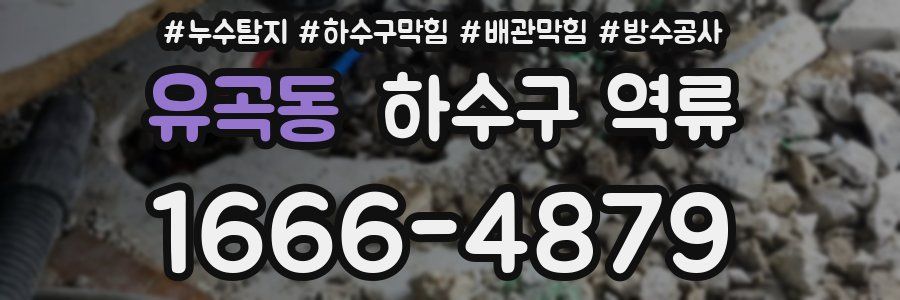 유곡동 하수구 역류
