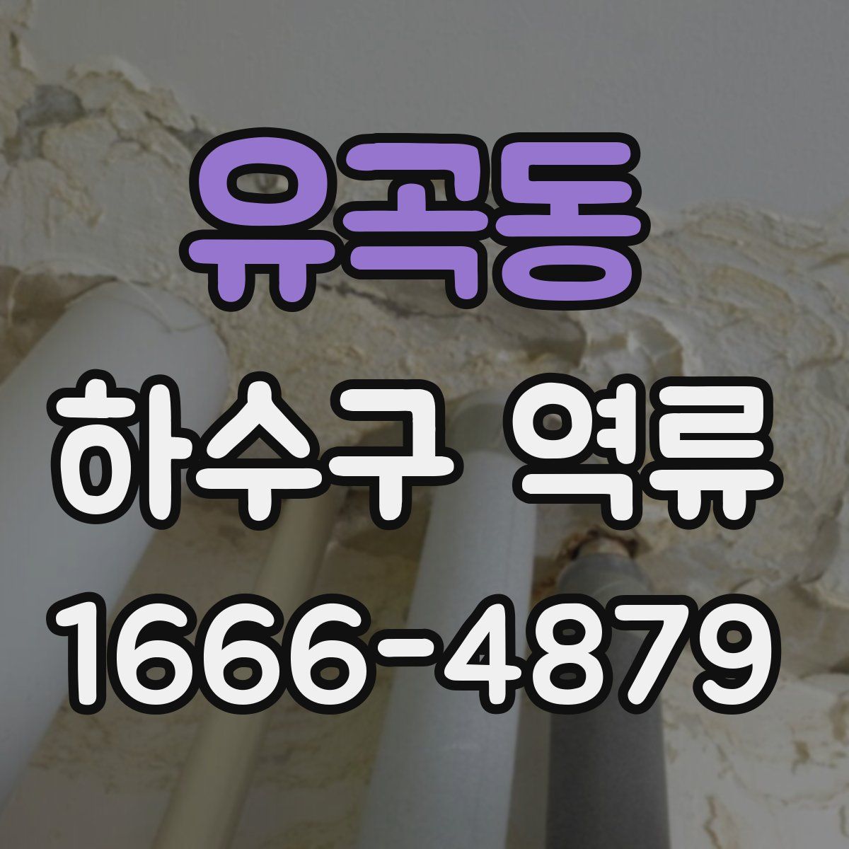 유곡동 하수구 역류