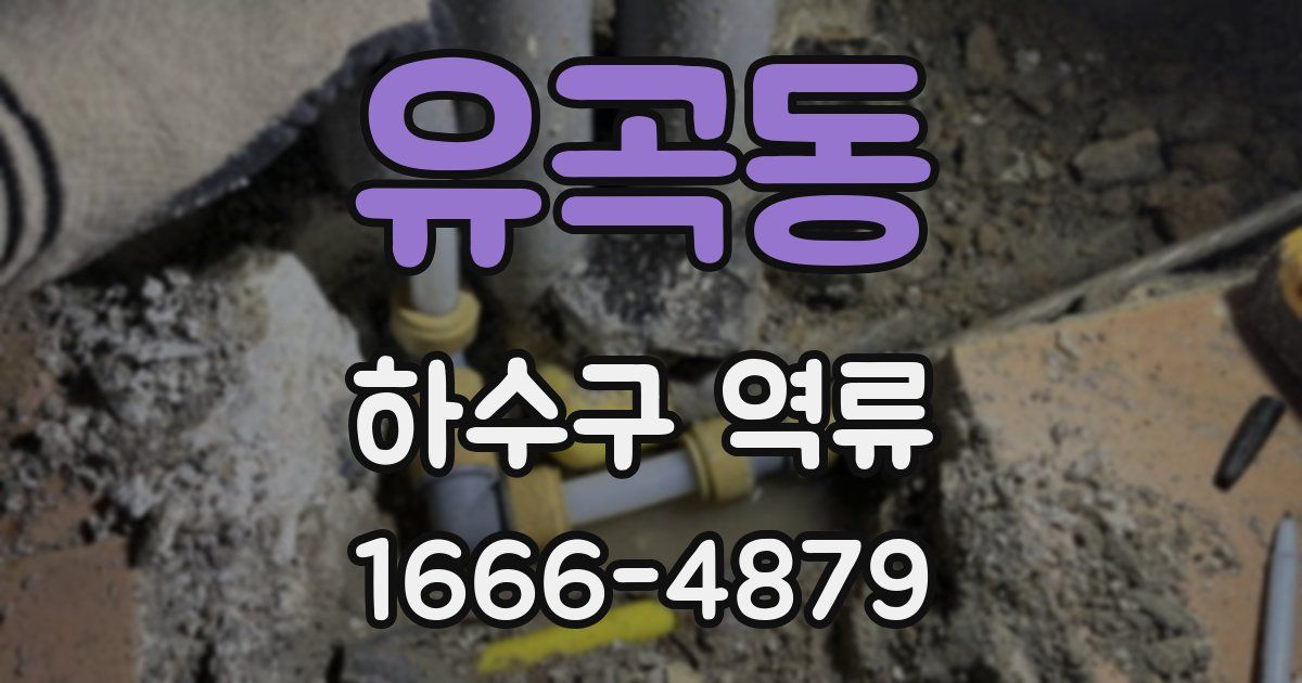 유곡동 하수구 역류
