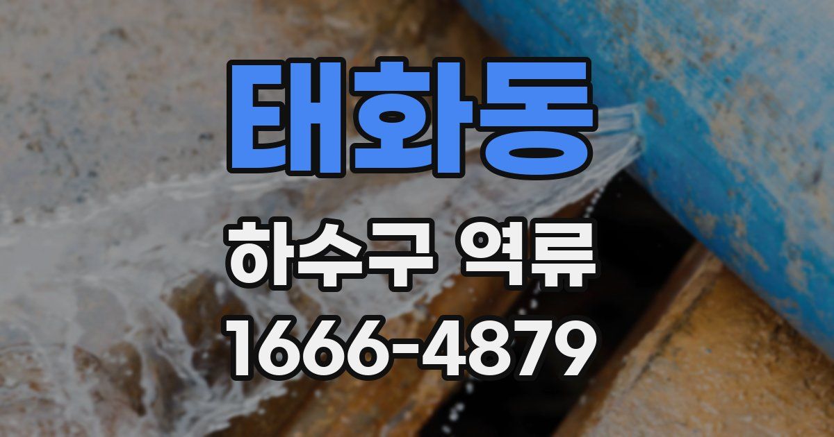 태화동 하수구 역류