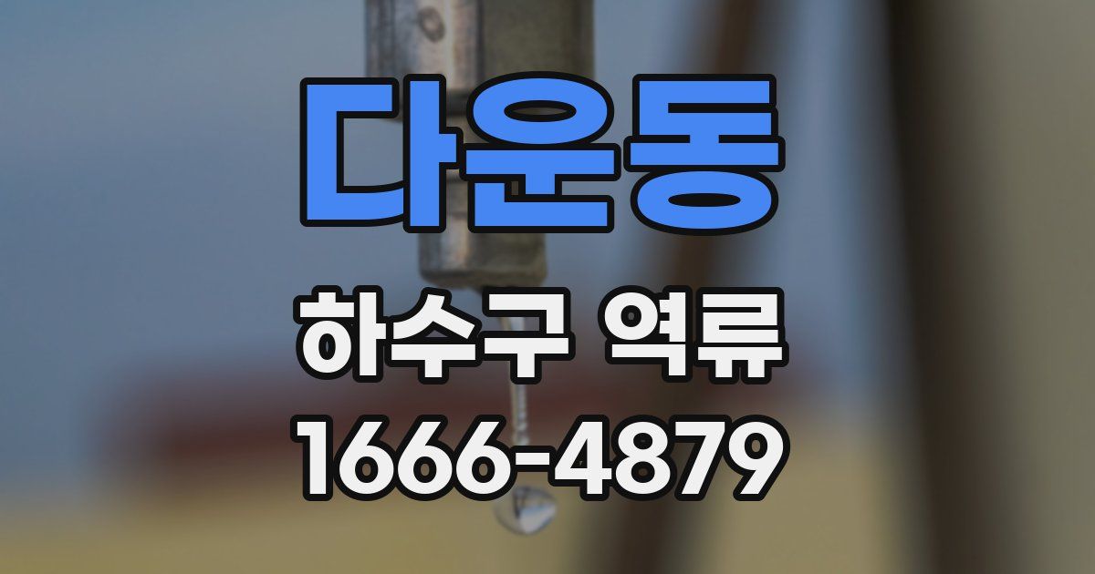 다운동 하수구 역류